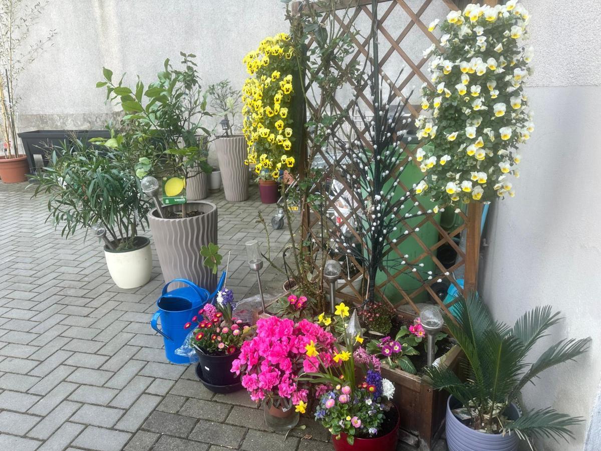 Ferienwohnung Kaethe-Kollwitz-Strasse 54, F2 Altenburg Exterior foto
